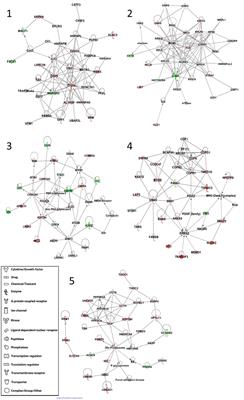 Proteomic investigations of adult polyglucosan body disease: insights into the pathobiology of a neurodegenerative disorder